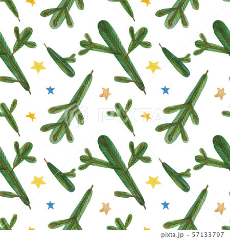 Christmas Star Poinsettia Frame Christmas Star Poinsettia Frame 57133797