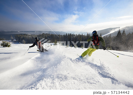 Male skiers freeriding on wide open mountain slope. Extremal skiing down between low fir trees Male skiers freeriding on wide open mountain slope. Extremal skiing down between low fir trees 57134442