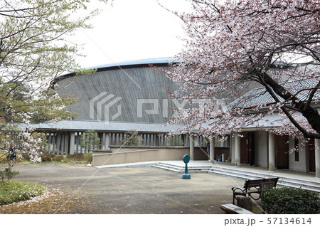多摩霊園みたま堂【東京都府中市・小金井市】 57134614