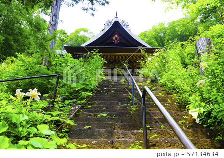 【山梨県】海岸寺観音堂とヤマユリの花 57134634