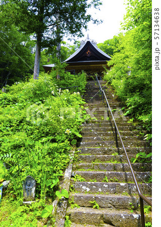 【山梨県】海岸寺観音堂とヤマユリの花 57134638