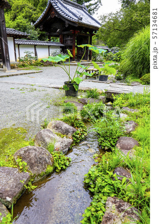 【山梨県】初夏の放光寺境内 【山梨県】初夏の放光寺境内 57134681