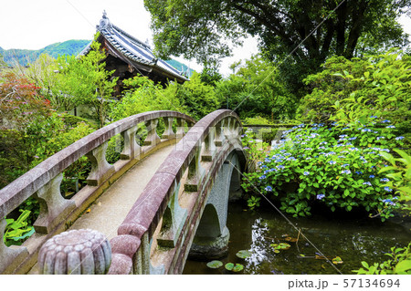 【山梨県】アジサイの咲く初夏の放光寺 57134694