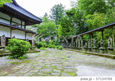 【山梨県】初夏の海岸寺　守屋貞治の百体観音と本堂 57134700
