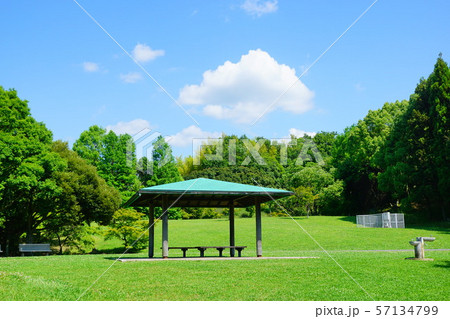 蜻蛉池公園 大阪府 蜻蛉池公園 大阪府 57134799
