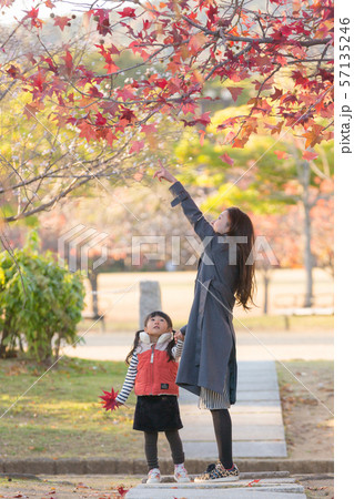 公園の親子 57135246