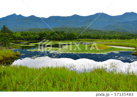 知床五湖　一湖 57135483