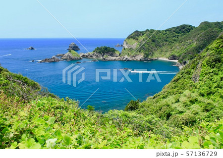 南伊豆　あいあい岬 57136729