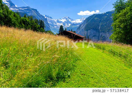 View of the Swiss Alps near the city of Lauterbrunnen. Switzerland. 57138417