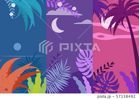Set of summer backgrounds floral exotic plants leaves, banners, posters, cover design templates Set of summer backgrounds floral exotic plants leaves, banners, posters, cover design templates 57138492