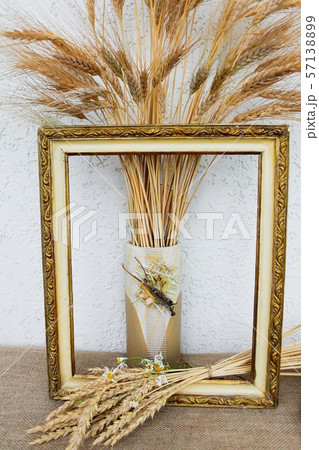 Autumn still life with ears of wheat and rye in a frame from a picture Autumn still life with ears of wheat and rye in a frame from a picture 57138899