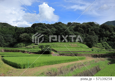 田舎の風景 田んぼと青空 田舎の風景 田んぼと青空 57139258
