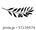 Olive branch with black olives and leaves. 57139574