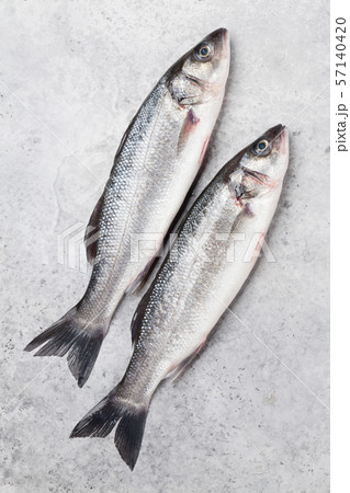 Fresh seafood. Trout fish Fresh seafood. Trout fish 57140420