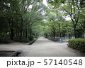 森 歩く 散歩 57140548