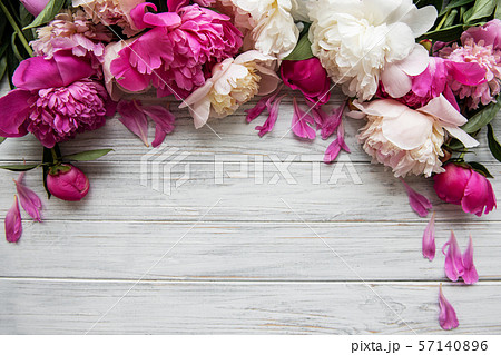 Background with pink peonies 57140896