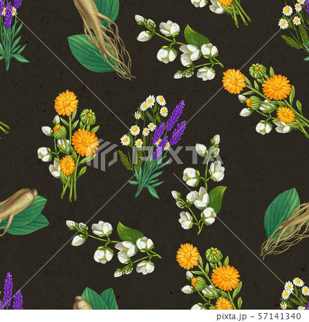 Hand drawn medicinal plant seamless pattern. Healing herbs drawing on craft paper. 57141340