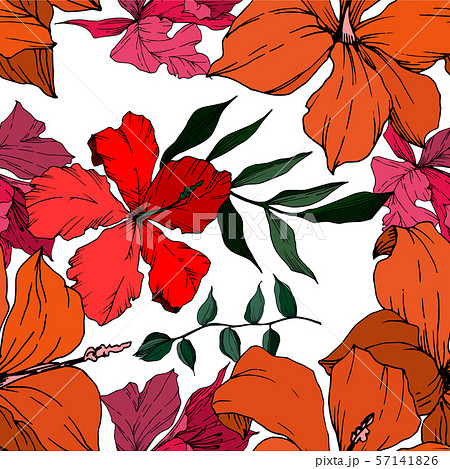 Vector Tropical flowers and leaves isolated. Black and white engraved ink art. Seamless background 57141826