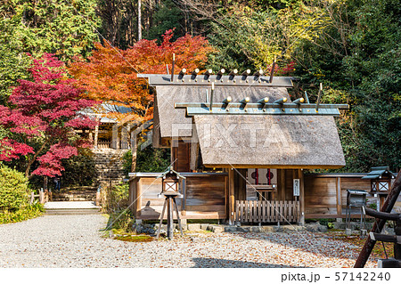 外宮板垣御門と紅葉 日向大神宮 外宮板垣御門と紅葉 日向大神宮 57142240