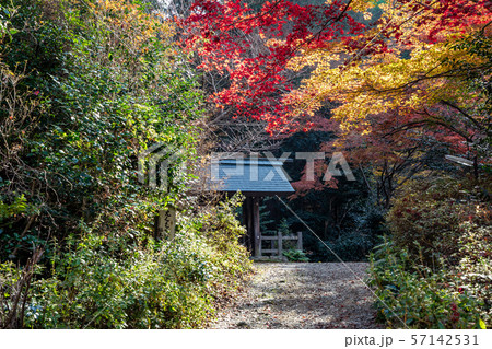 福土神社と紅葉 日向大神宮 福土神社と紅葉 日向大神宮 57142531