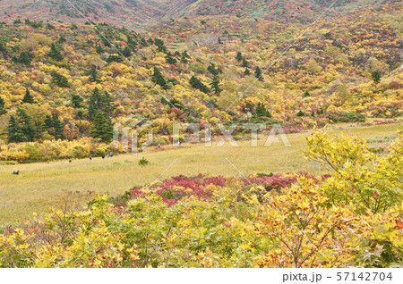 錦秋の栗駒山 57142704