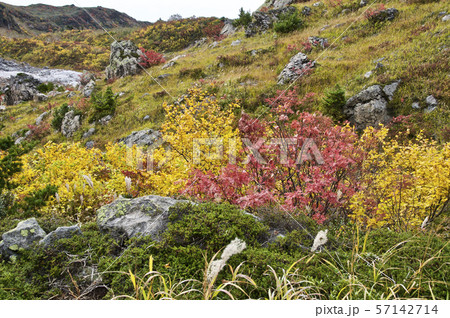 錦秋の栗駒山 地獄釜 錦秋の栗駒山 地獄釜 57142714