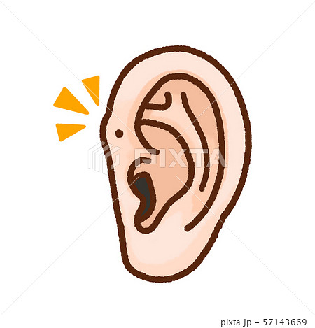 人体 耳 耳瘻孔 イラストのイラスト素材