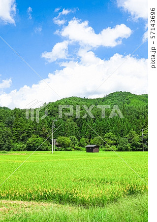 夏の農村風景の写真素材