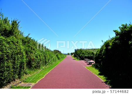 城ヶ島公園 57144682