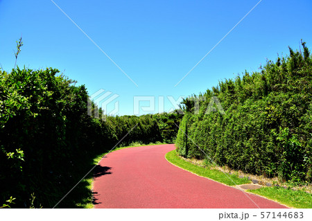 城ヶ島公園 57144683