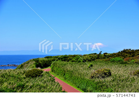 城ヶ島公園 57144743