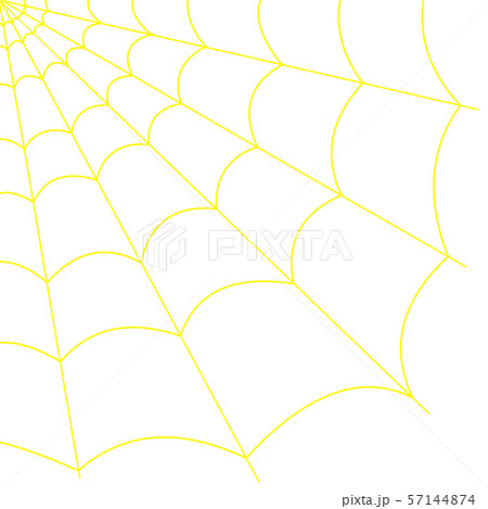 蜘蛛の巣（黄色） 57144874