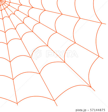 蜘蛛の巣 橙色 のイラスト素材