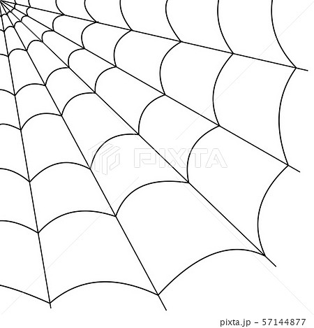 蜘蛛の巣 黒色 のイラスト素材
