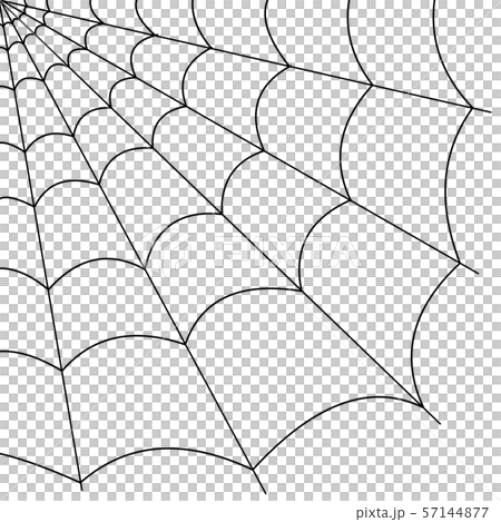 UNDERCOVER SPIDERWEB 蜘蛛の巣 セットアップ undercover 蜘蛛の巣 スパイダー柄 セットアップ - メルカリ