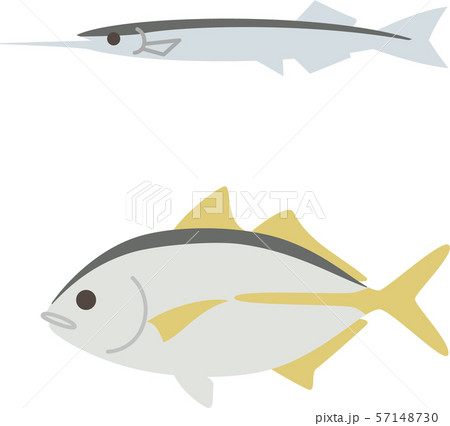 サヨリとシマアジ 57148730