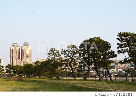 お台場 台場公園 57152881