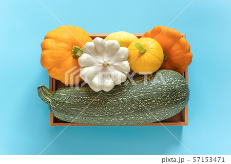 Harvest colored different vegetables gourds 57153471