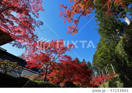 高野山の紅葉 57153601