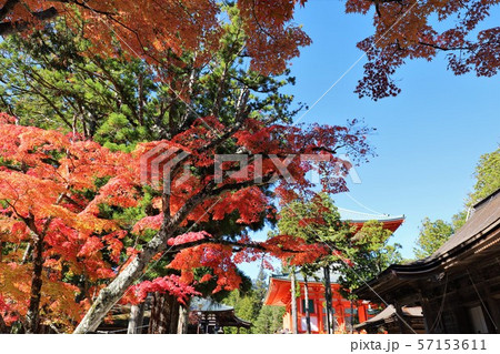 高野山の紅葉 高野山の紅葉 57153611