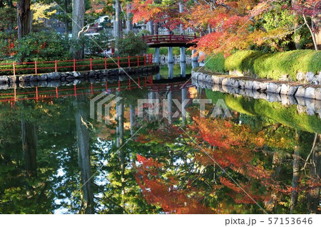 高野山の紅葉 高野山の紅葉 57153646