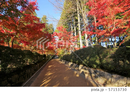 高野山の紅葉 57153730
