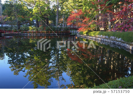 高野山の紅葉 高野山の紅葉 57153750