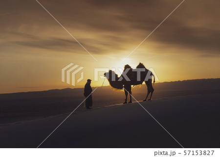 Gobi desert, may 2019, Mongolia Gobi desert, may 2019, Mongolia 57153827