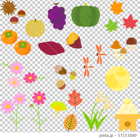 秋の風物詩のイラストセット 秋の風物詩のイラストセット 57153880