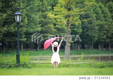 街路樹 女性 女 57154503