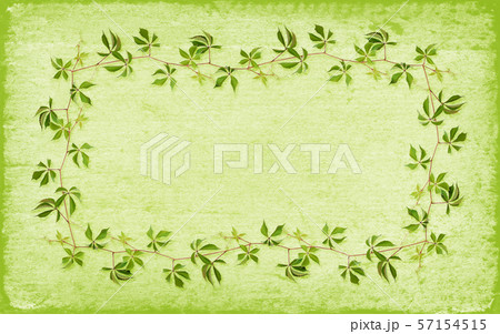 Frame made of parthenocissus twig with green Frame made of parthenocissus twig with green 57154515