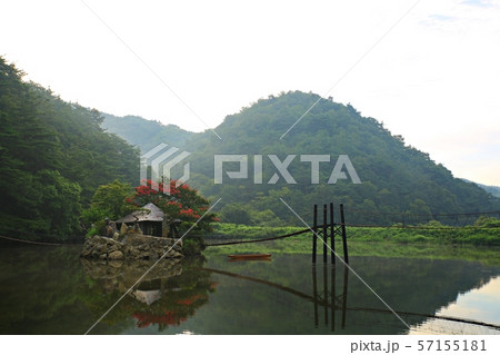 湖 池 朝 57155181