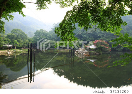 湖 池 朝 57155209