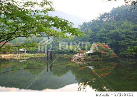 湖 池 朝 57155215